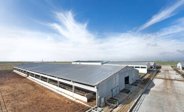 Expert Livestock Facility Construction Services In Fargo, ND