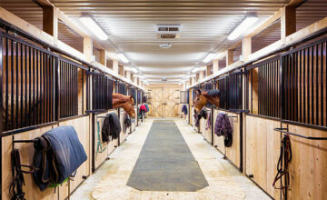 Top Considerations When Choosing Horse Barn Construction Services in Fargo, ND