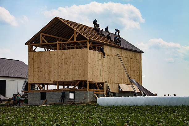 Workers building a new hay barn roof during construction